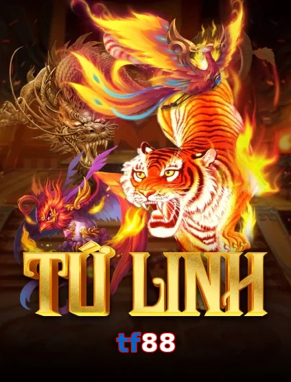 tf88